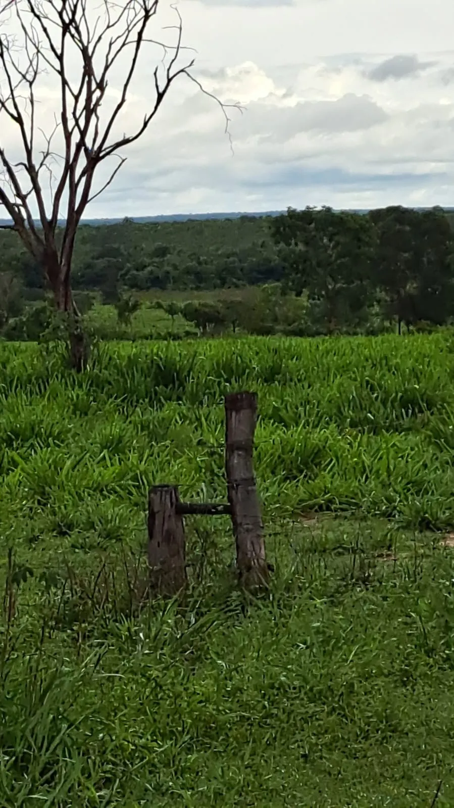 Farm for sale of 2,572 acres in Buritizeiro, MG, Brazil