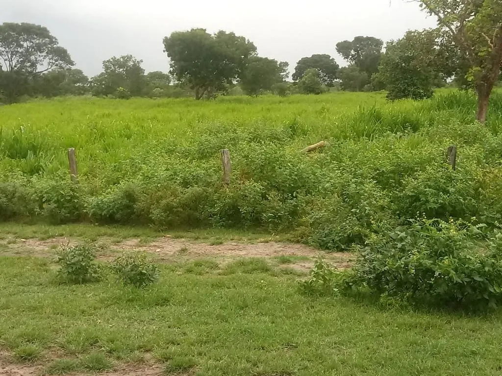 Farm for sale of 2,572 acres in Buritizeiro, MG, Brazil