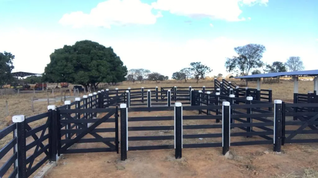 Farm for sale of 2,572 acres in Buritizeiro, MG, Brazil