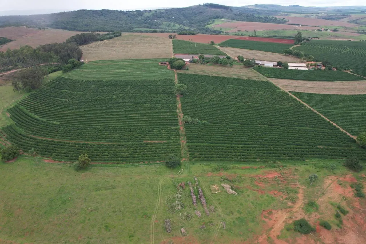 Fazenda à venda de 53 ha em Patrocínio, MG, Brasil