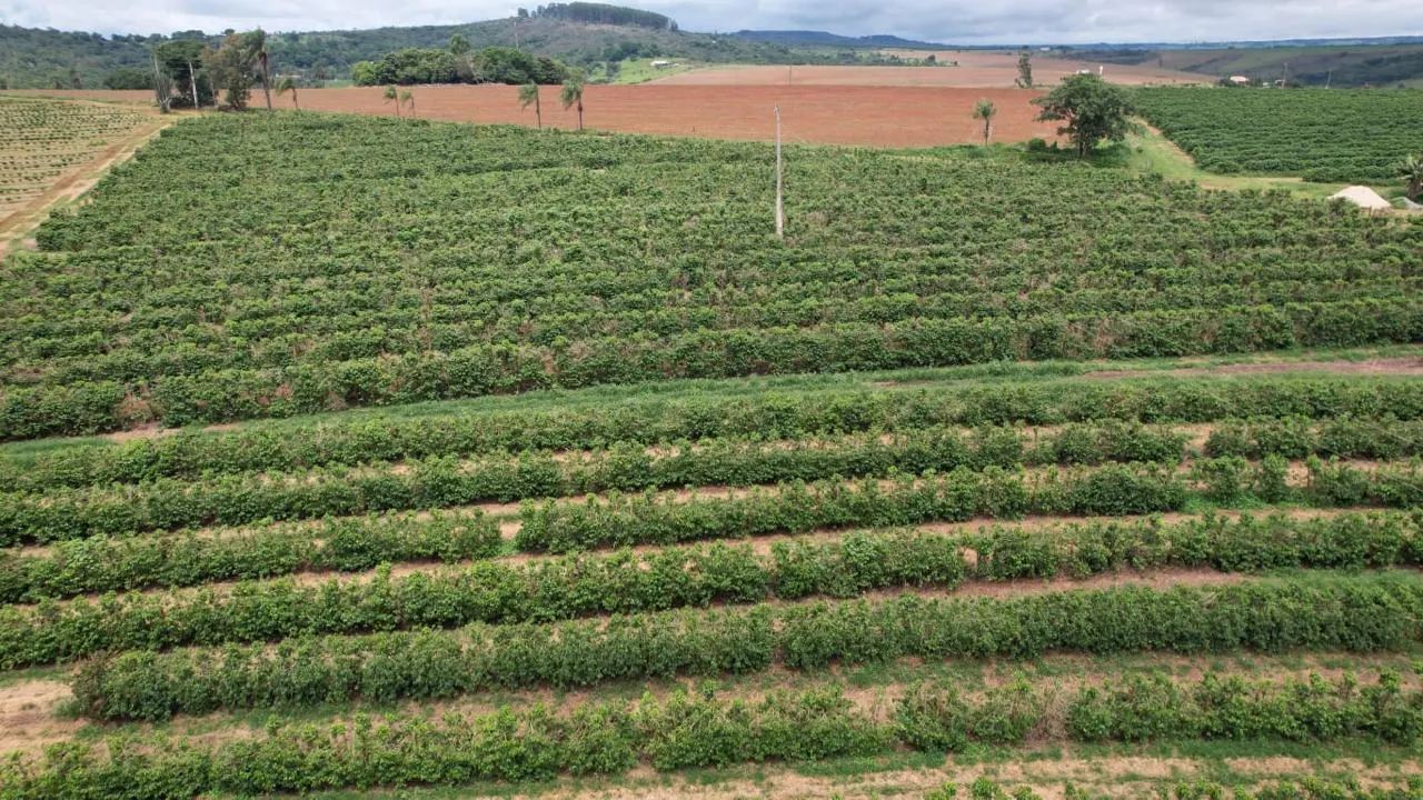 Fazenda à venda de 53 ha em Patrocínio, MG, Brasil