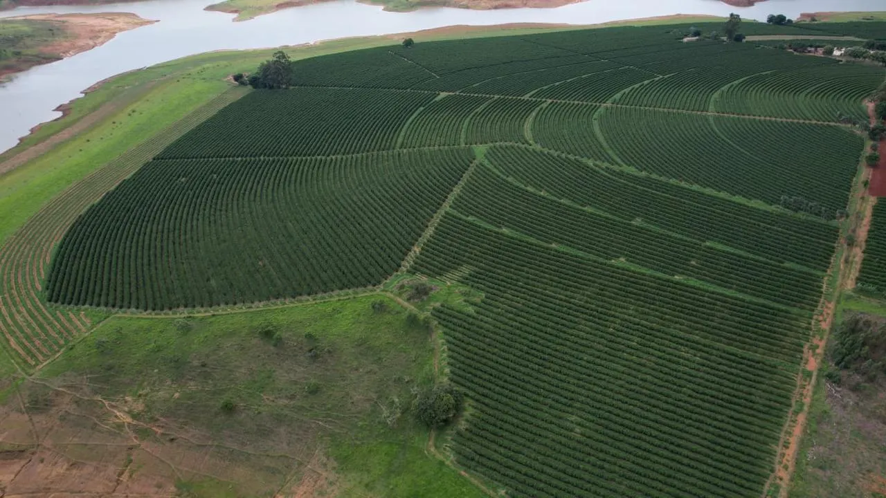 Fazenda à venda de 53 ha em Patrocínio, MG, Brasil