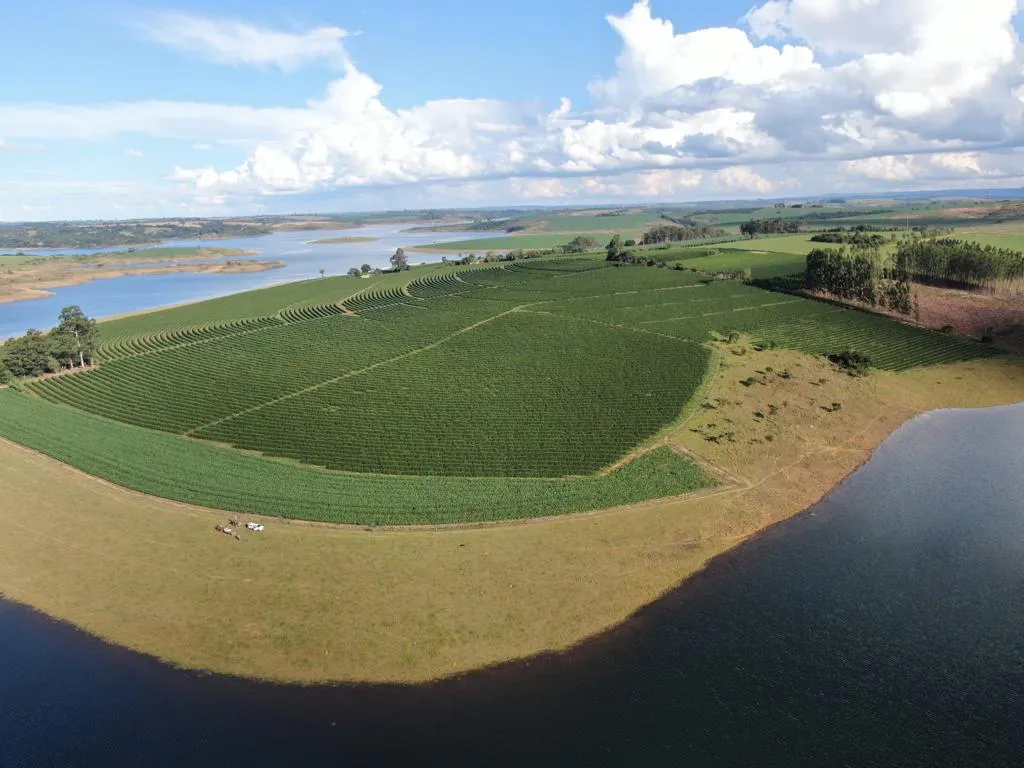 Fazenda à venda de 53 ha em Patrocínio, MG, Brasil