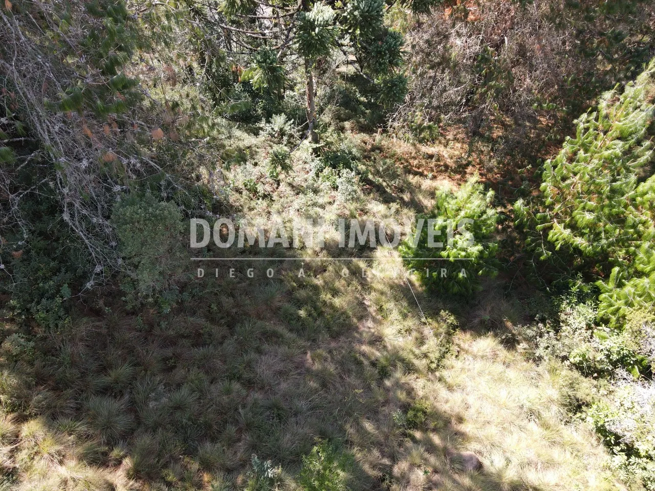 Plot for sale of 2,450 m² in Campos do Jordão, SP, Brazil