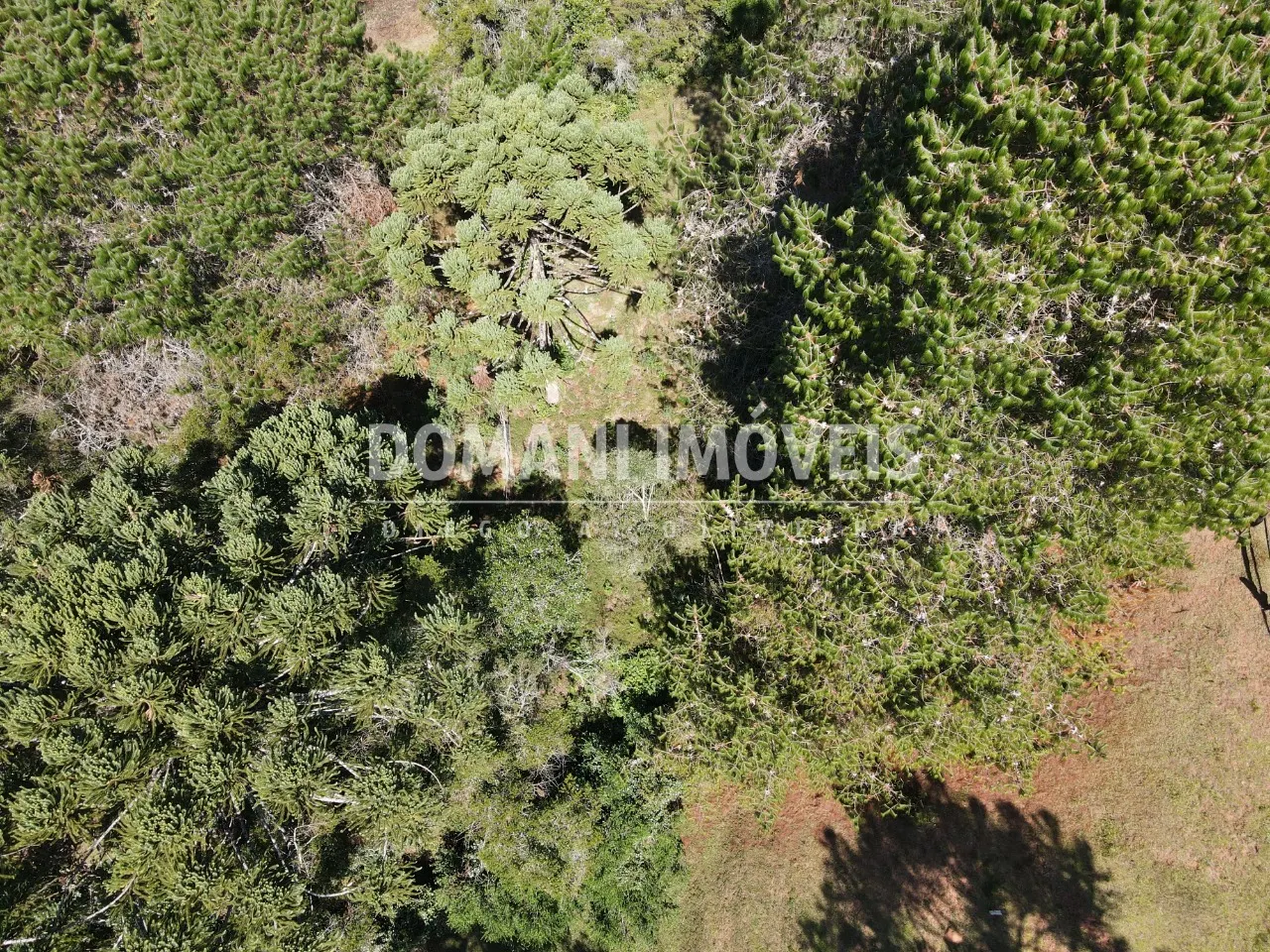 Plot for sale of 2,450 m² in Campos do Jordão, SP, Brazil