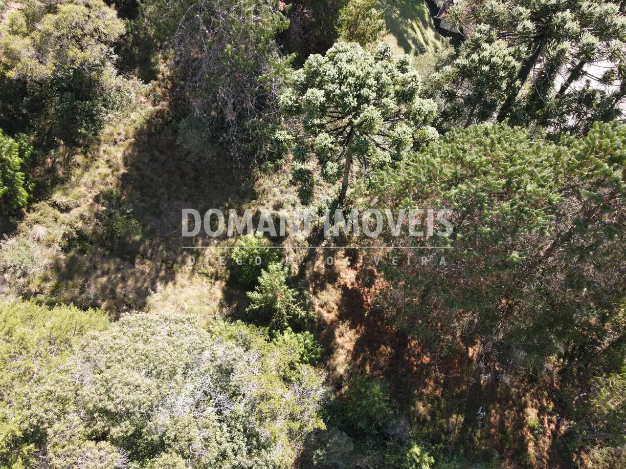 Plot for sale of 2,450 m² in Campos do Jordão, SP, Brazil