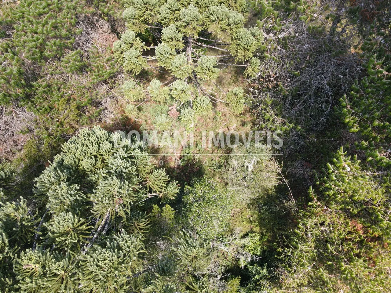 Plot for sale of 2,450 m² in Campos do Jordão, SP, Brazil