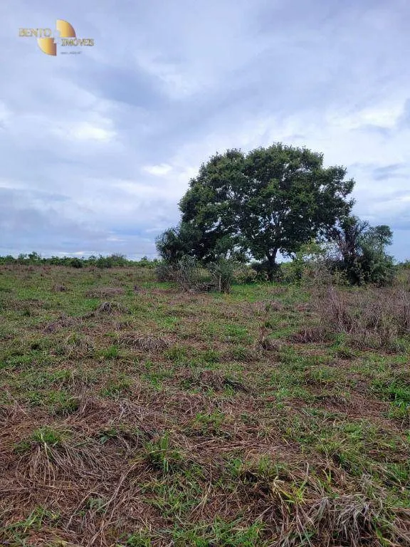 Fazenda à venda de 6.050 ha em Lambari d'Oeste, MT, Brasil