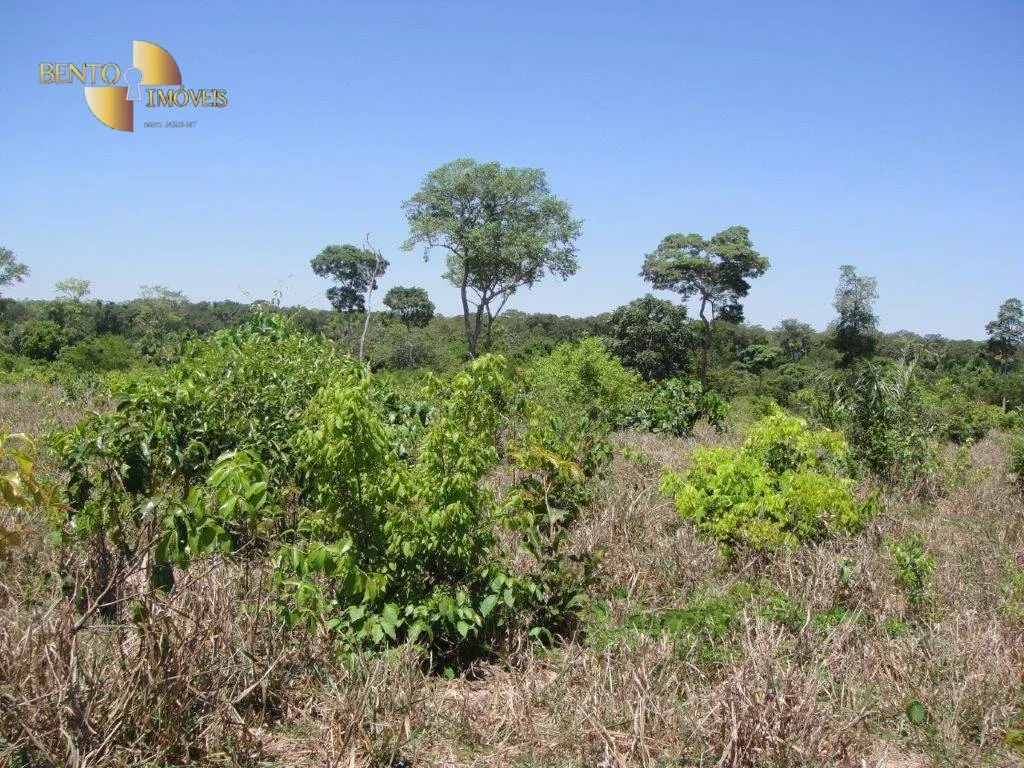 Fazenda à venda de 6.050 ha em Lambari d'Oeste, MT, Brasil