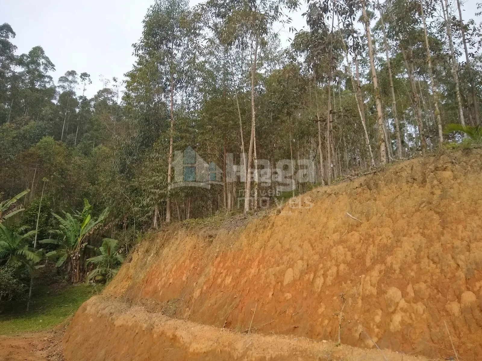 Chácara à venda de 4 ha em Guabiruba, SC, Brasil