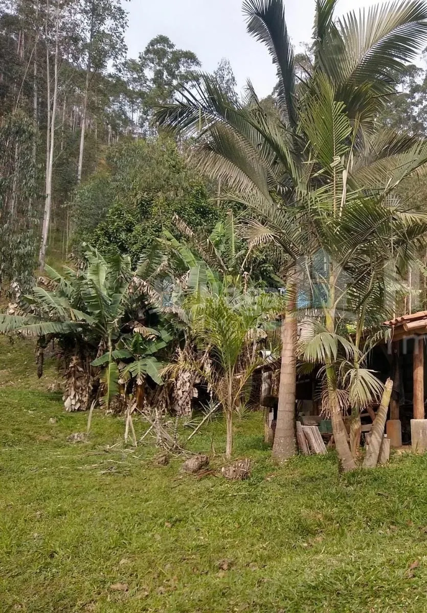 Chácara à venda de 4 ha em Guabiruba, SC, Brasil