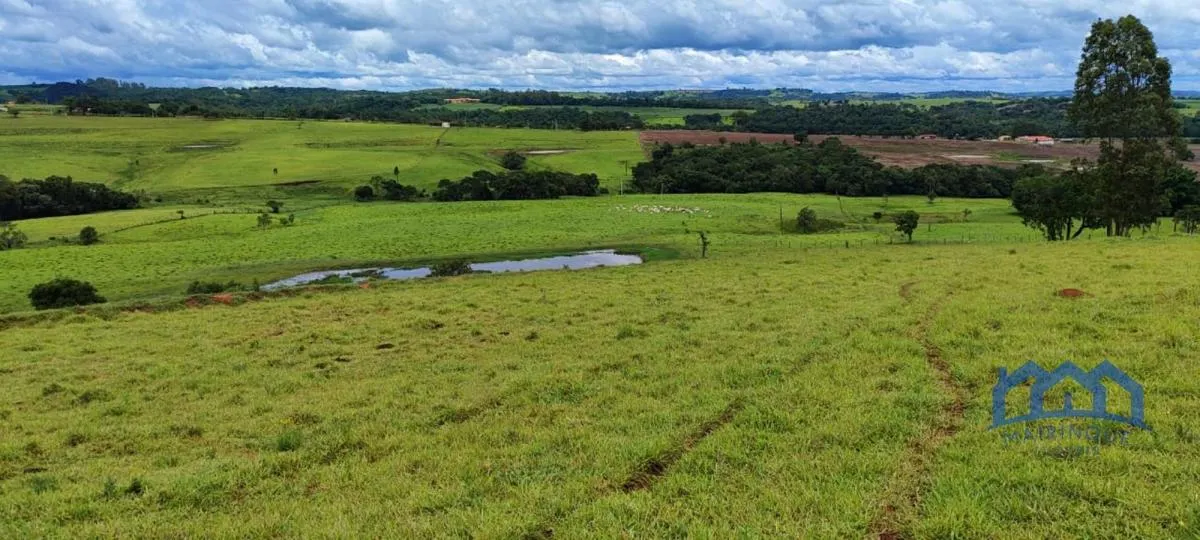 Sítio à venda de 30 ha em Itapetininga, SP, Brasil