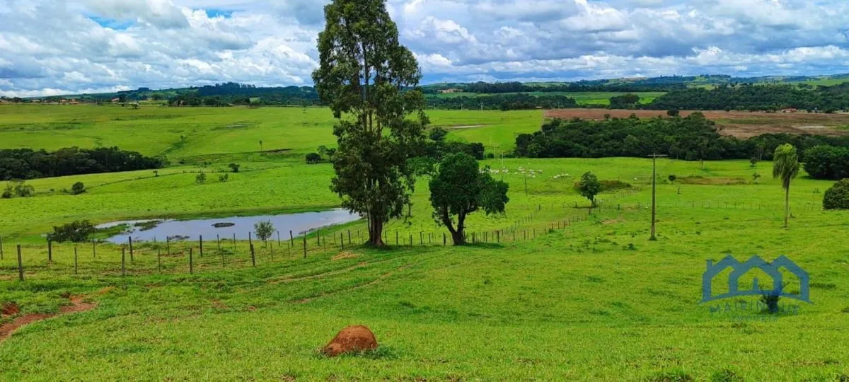 Sítio à venda de 30 ha em Itapetininga, SP, Brasil