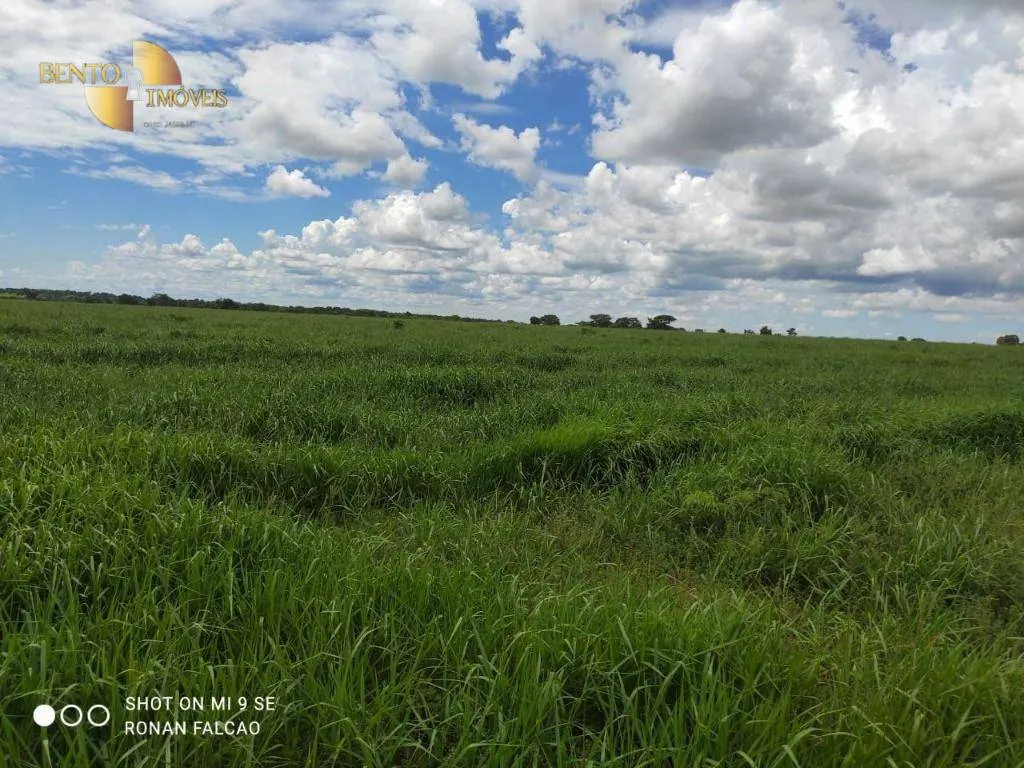 Fazenda à venda de 1.630 ha em Poconé, MT, Brasil