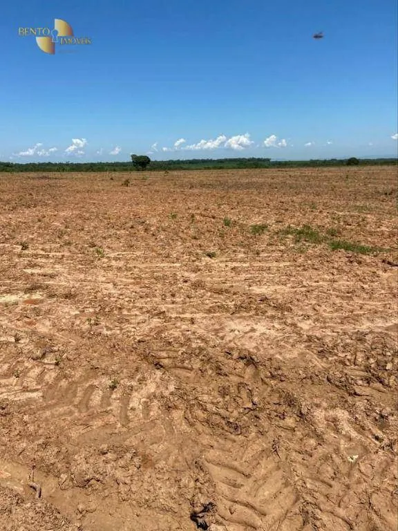 Fazenda à venda de 1.630 ha em Poconé, MT, Brasil