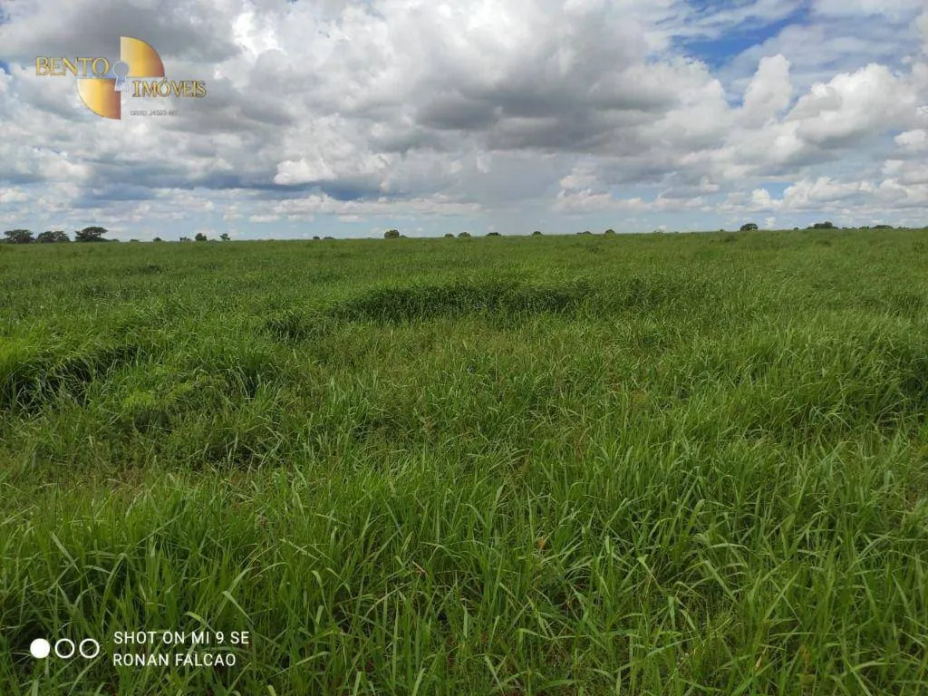 Fazenda à venda de 1.630 ha em Poconé, MT, Brasil