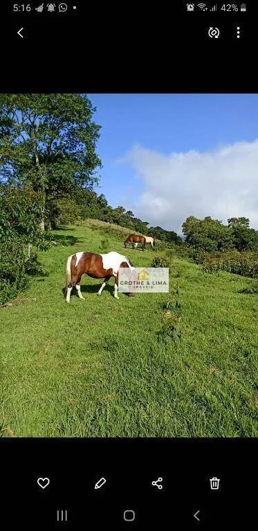 Sítio à venda de 7 ha em Cunha, SP, Brasil