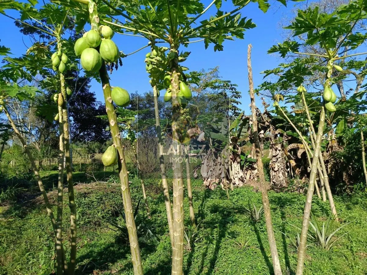 Sítio à venda de 30 ha em São Lourenço da Serra, SP, Brasil