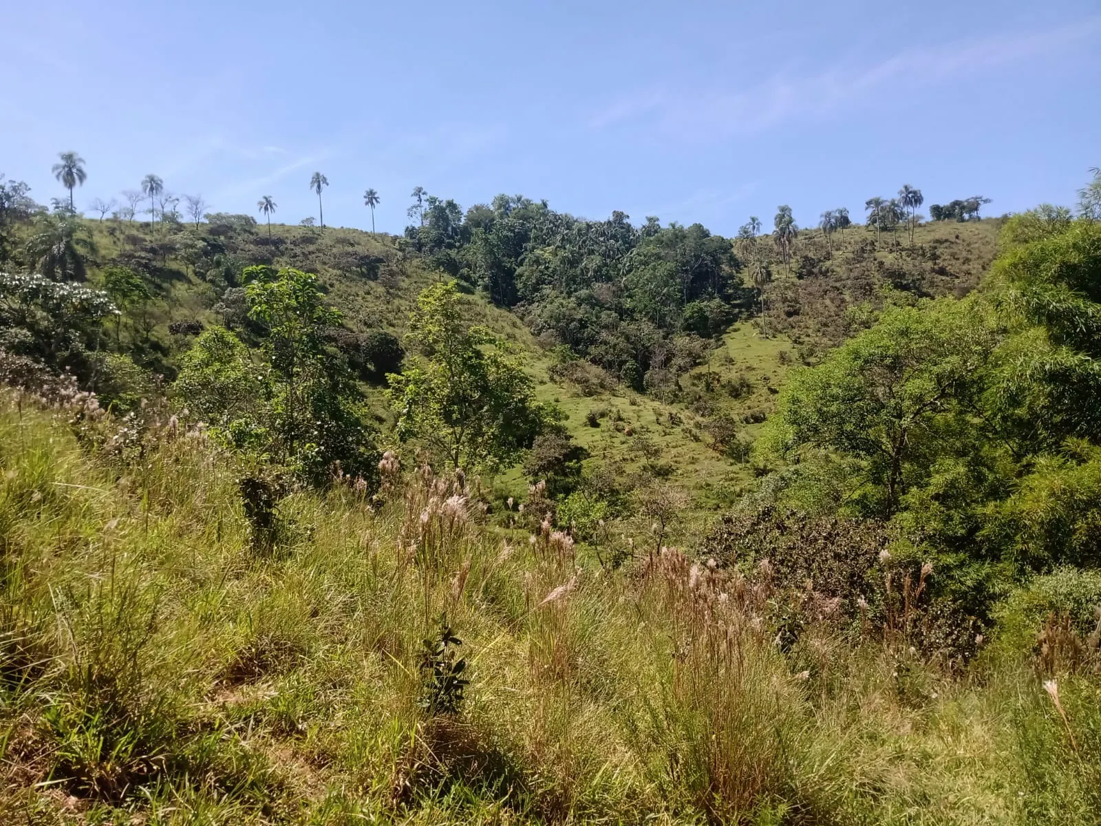 Terreno à venda de 22 ha em São José dos Campos, SP, Brasil