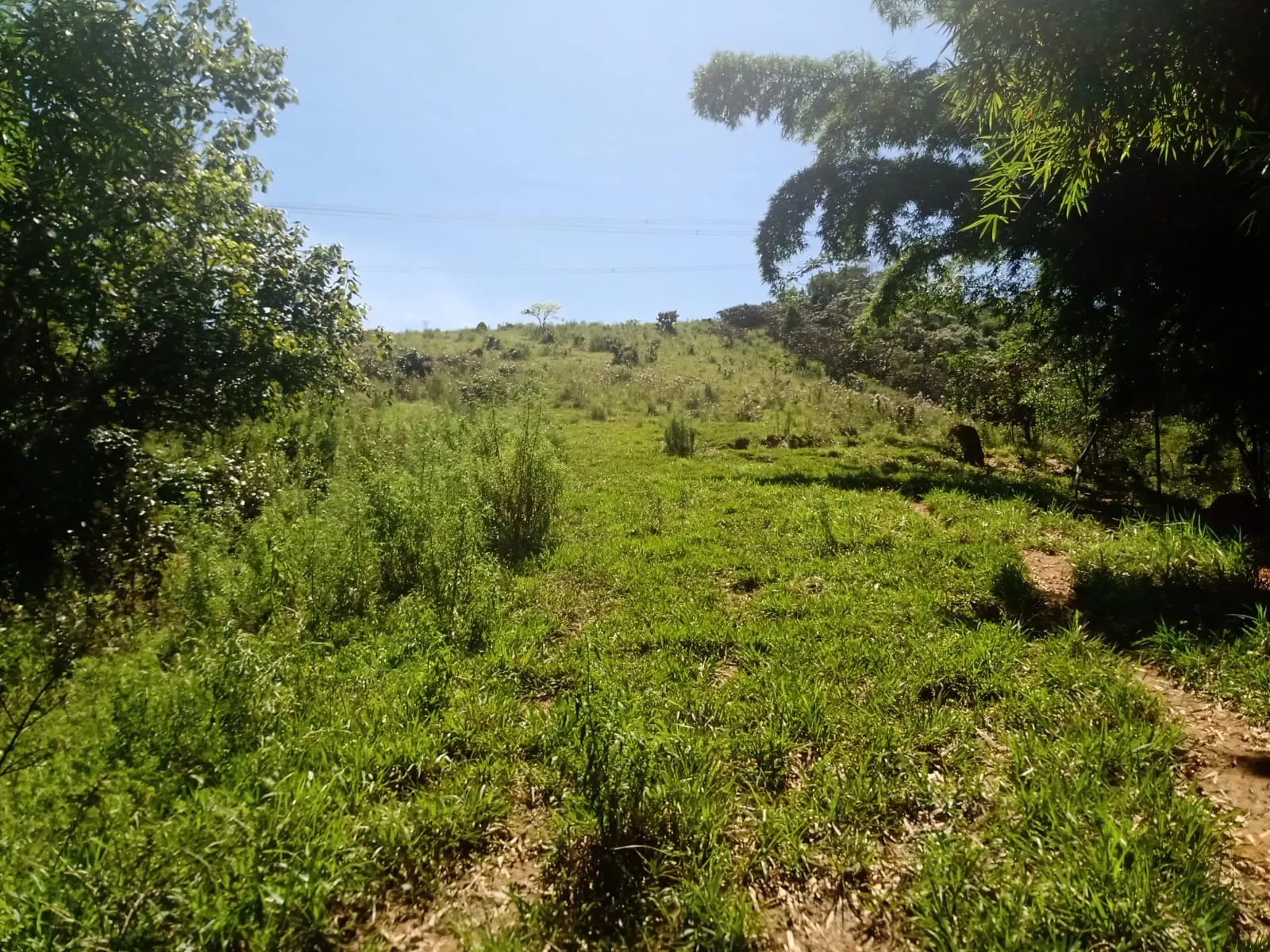 Terreno à venda de 22 ha em São José dos Campos, SP, Brasil