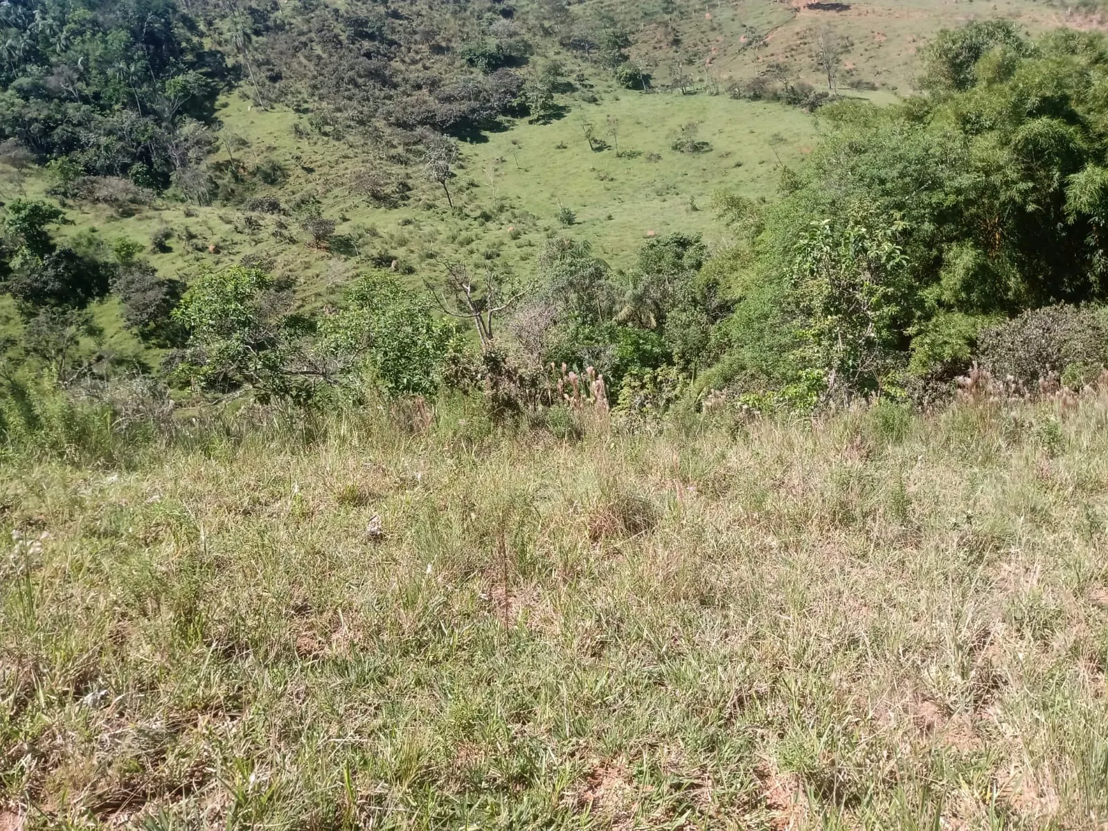 Terreno à venda de 22 ha em São José dos Campos, SP, Brasil