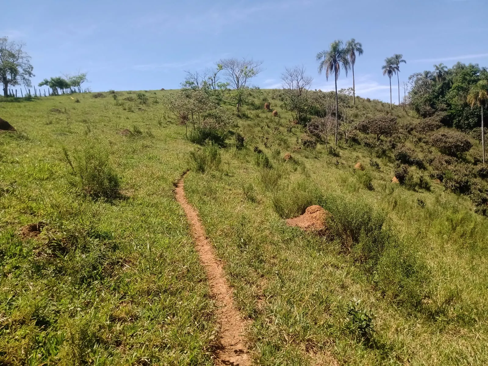 Terreno à venda de 22 ha em São José dos Campos, SP, Brasil