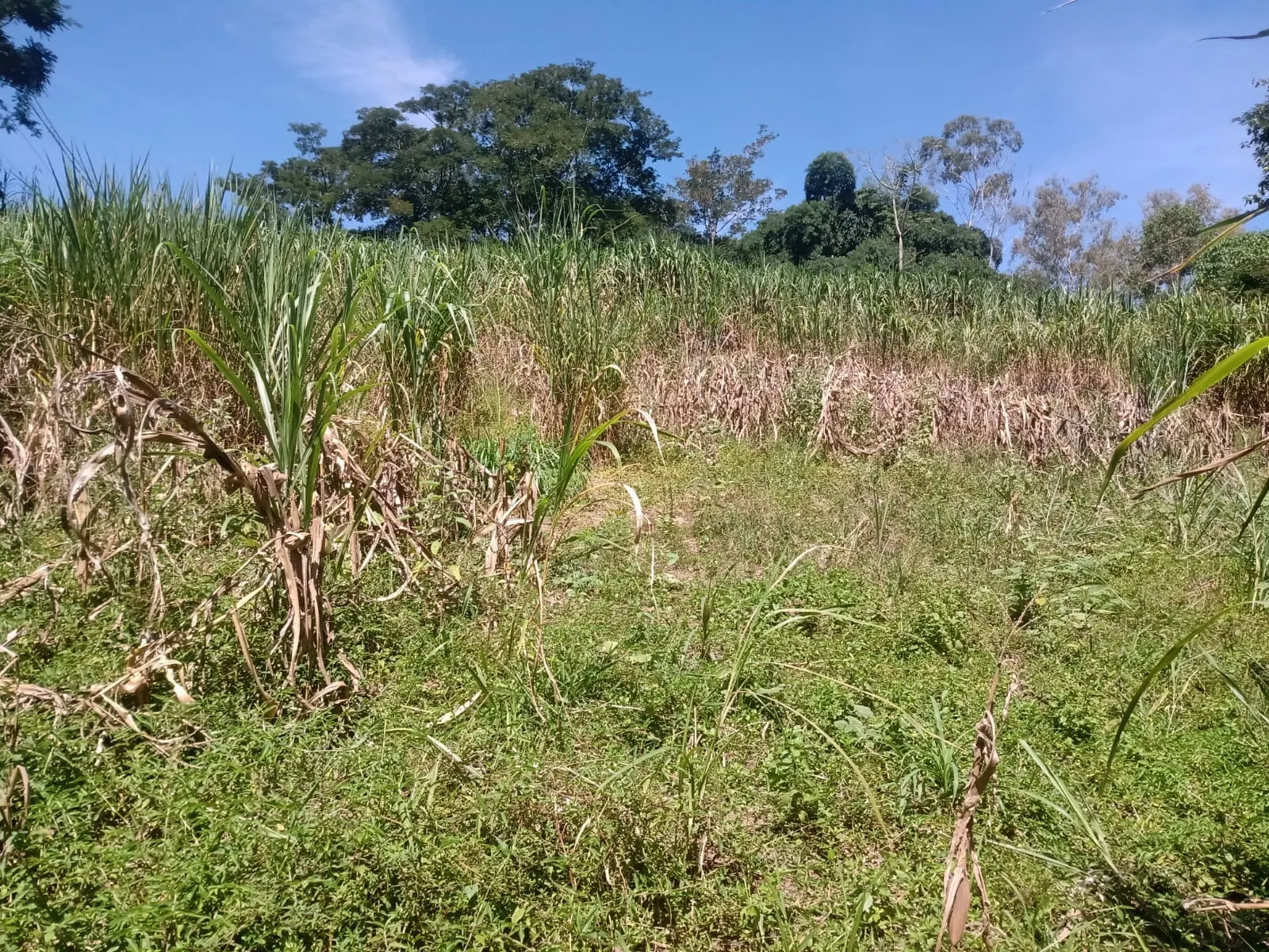 Terreno à venda de 22 ha em São José dos Campos, SP, Brasil