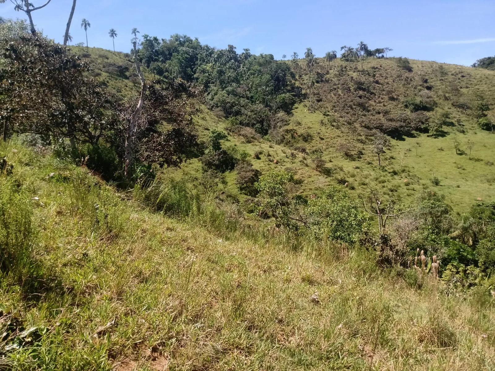 Terreno à venda de 22 ha em São José dos Campos, SP, Brasil