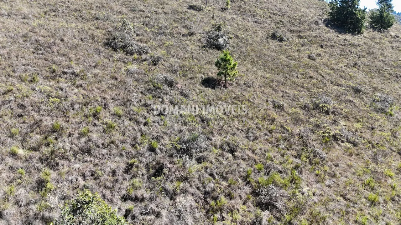 Terreno à venda de 1.390 m² em Campos do Jordão, SP, Brasil