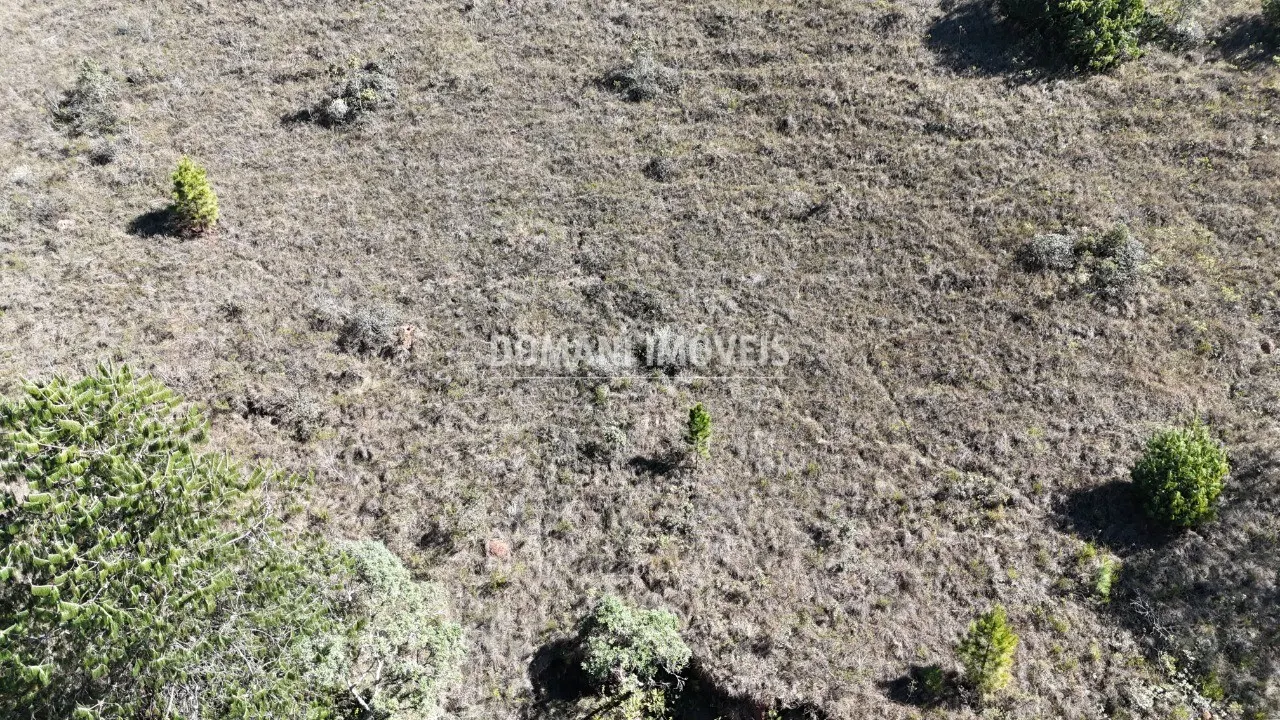 Terreno à venda de 1.390 m² em Campos do Jordão, SP, Brasil