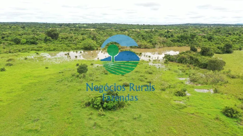 Farm for sale of 2,916 acres in Araguapaz, GO, Brazil