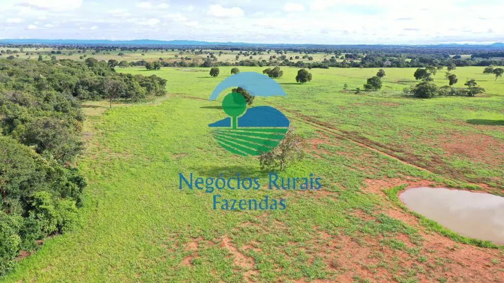 Farm for sale of 2,916 acres in Araguapaz, GO, Brazil
