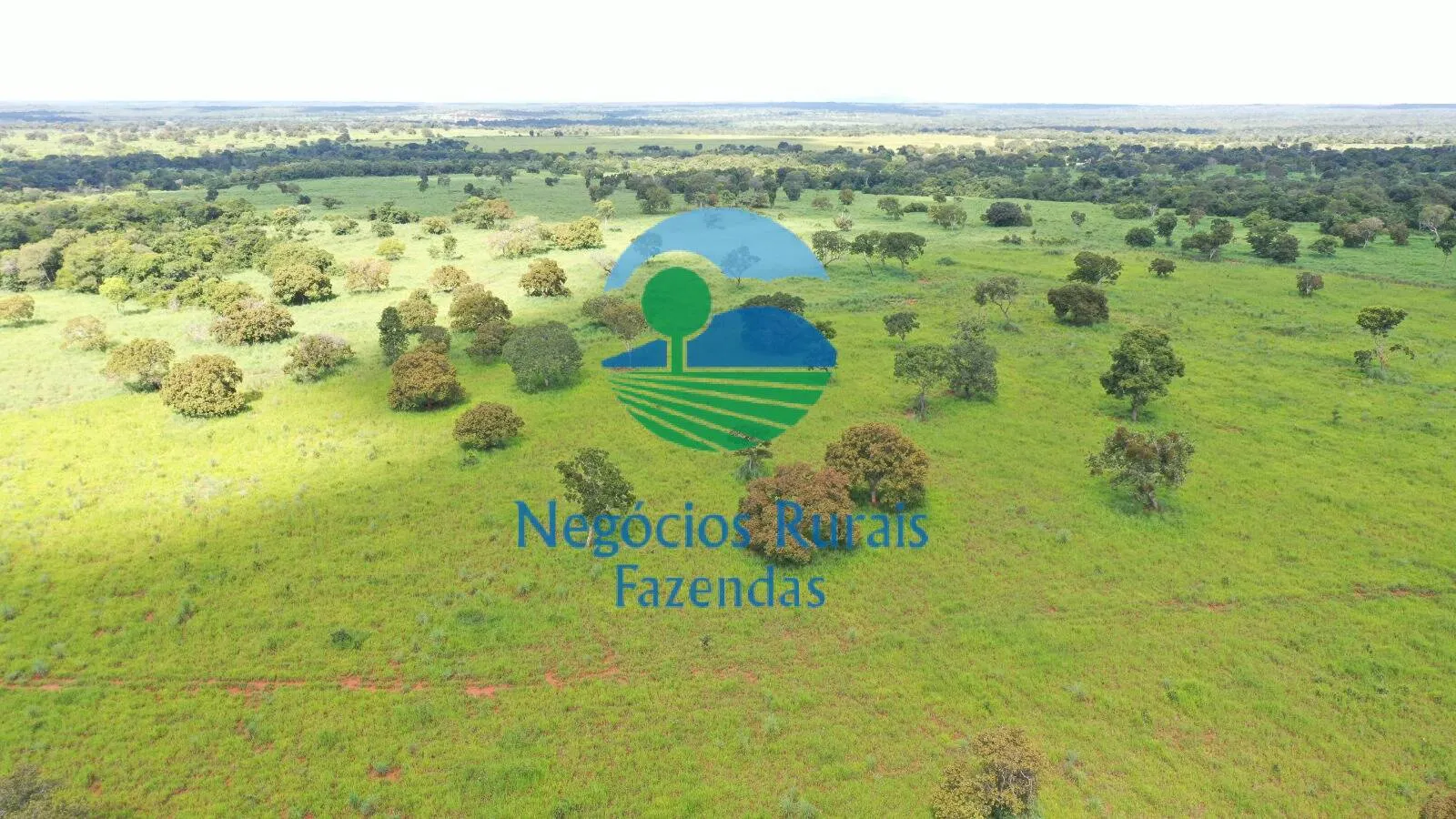Farm for sale of 2,916 acres in Araguapaz, GO, Brazil