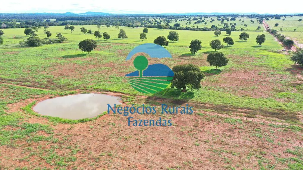 Fazenda à venda de 1.180 ha em Araguapaz, GO, Brasil
