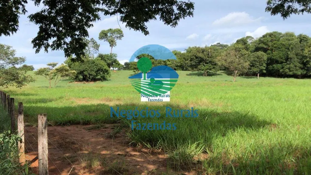 Farm for sale of 2,916 acres in Araguapaz, GO, Brazil