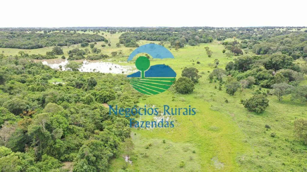 Farm for sale of 2,916 acres in Araguapaz, GO, Brazil