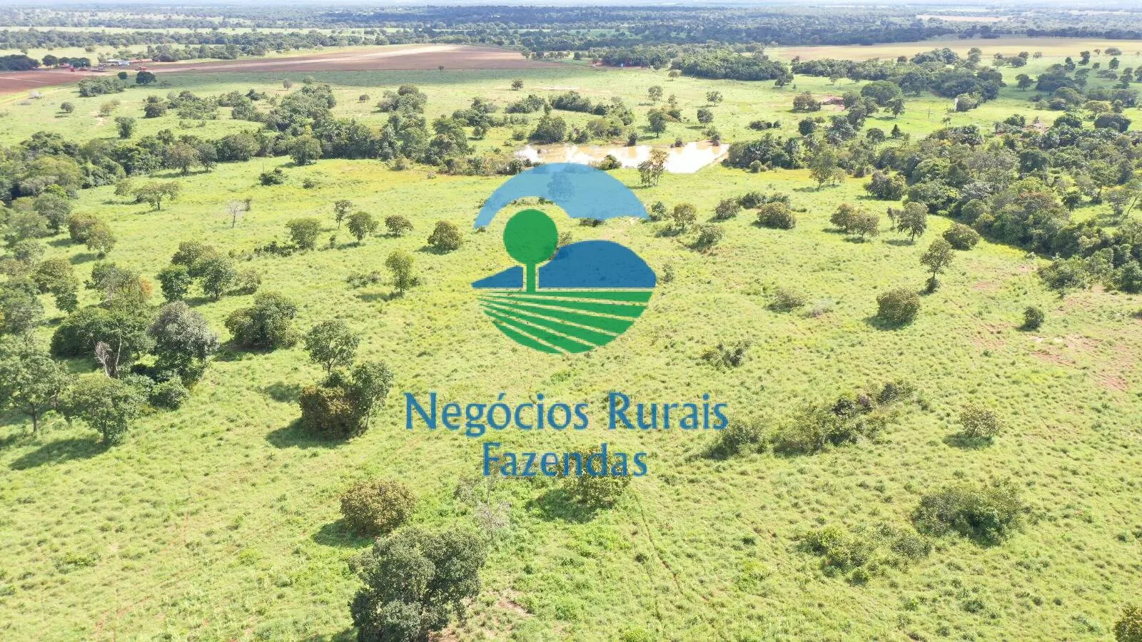 Farm for sale of 2,916 acres in Araguapaz, GO, Brazil