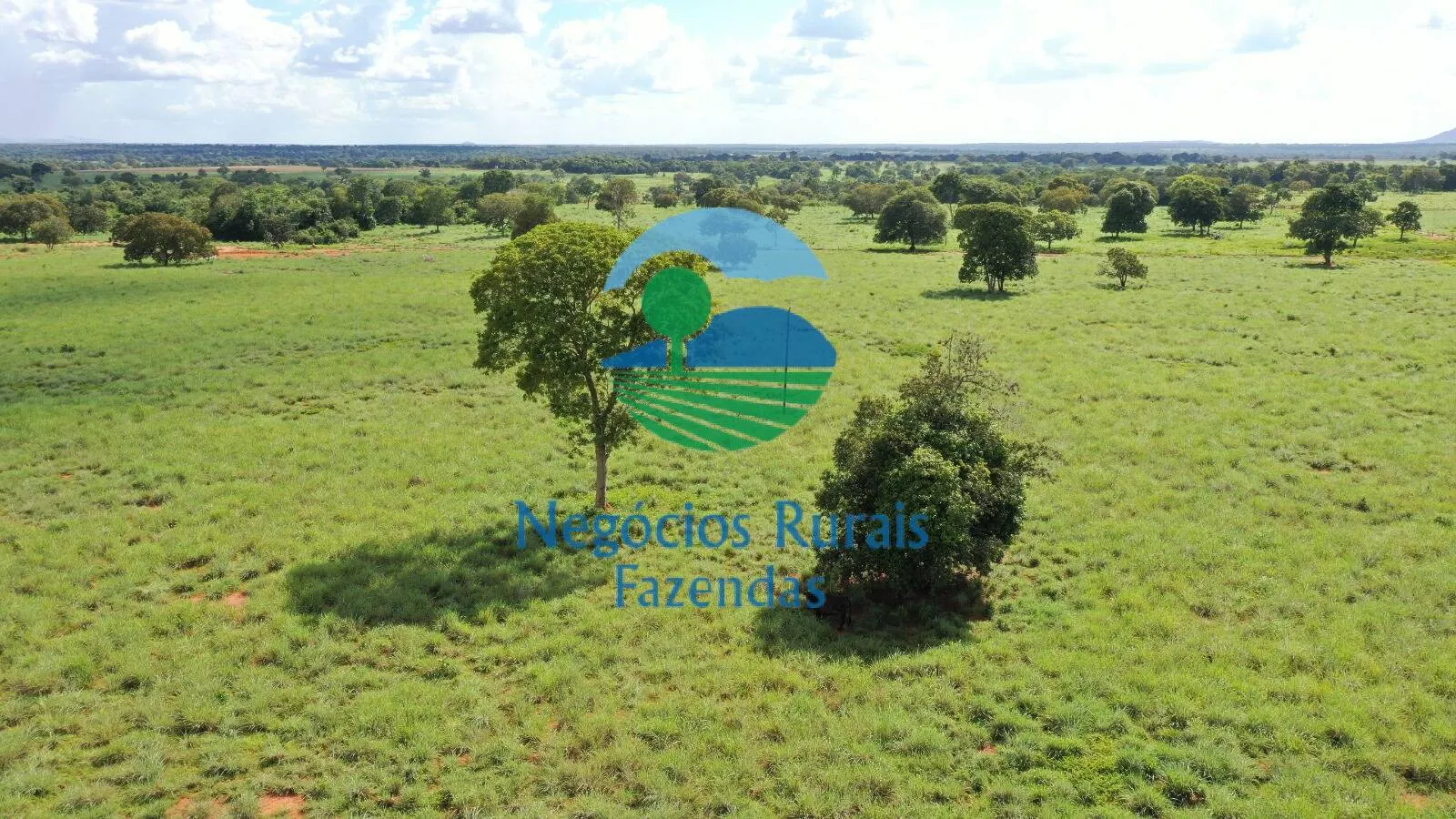 Farm for sale of 2,916 acres in Araguapaz, GO, Brazil