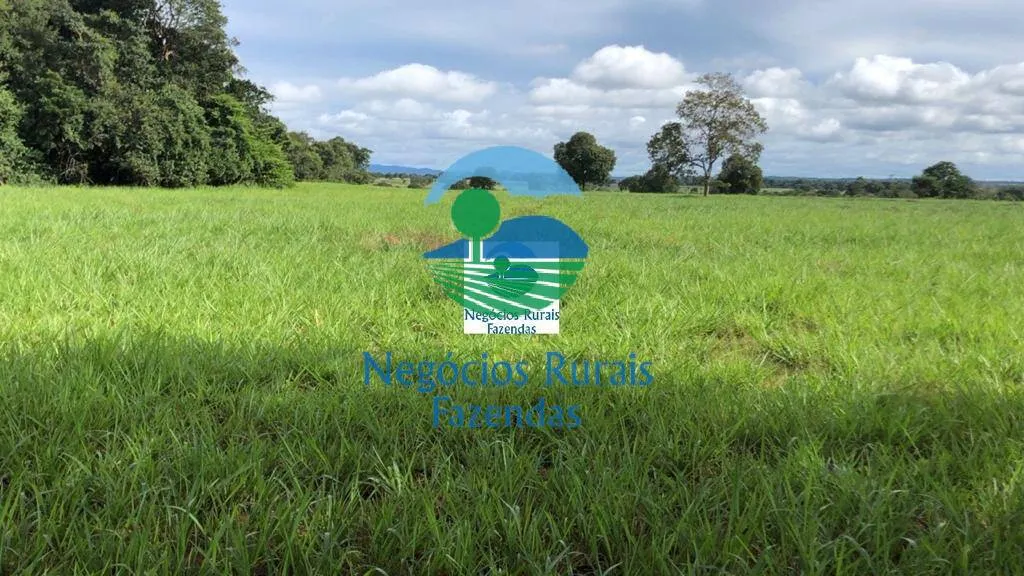 Farm for sale of 2,916 acres in Araguapaz, GO, Brazil