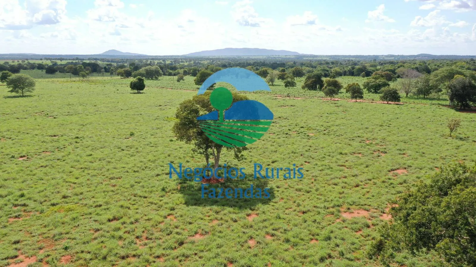 Farm for sale of 2,916 acres in Araguapaz, GO, Brazil