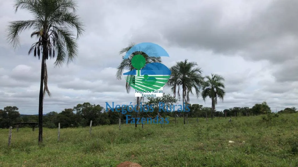 Farm for sale of 2,916 acres in Araguapaz, GO, Brazil