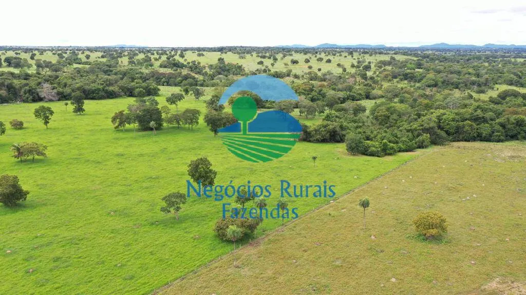 Farm for sale of 2,916 acres in Araguapaz, GO, Brazil