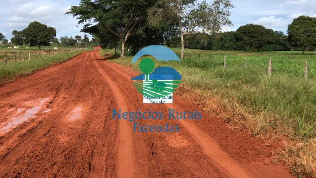 Farm for sale of 2,916 acres in Araguapaz, GO, Brazil