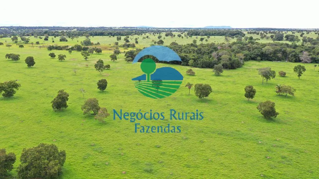 Farm for sale of 2,916 acres in Araguapaz, GO, Brazil