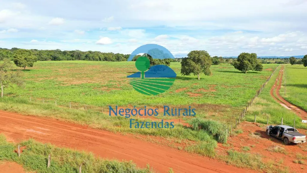 Farm for sale of 2,916 acres in Araguapaz, GO, Brazil