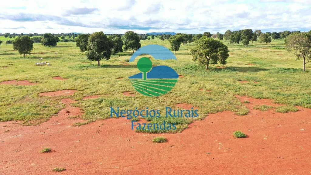 Farm for sale of 2,916 acres in Araguapaz, GO, Brazil