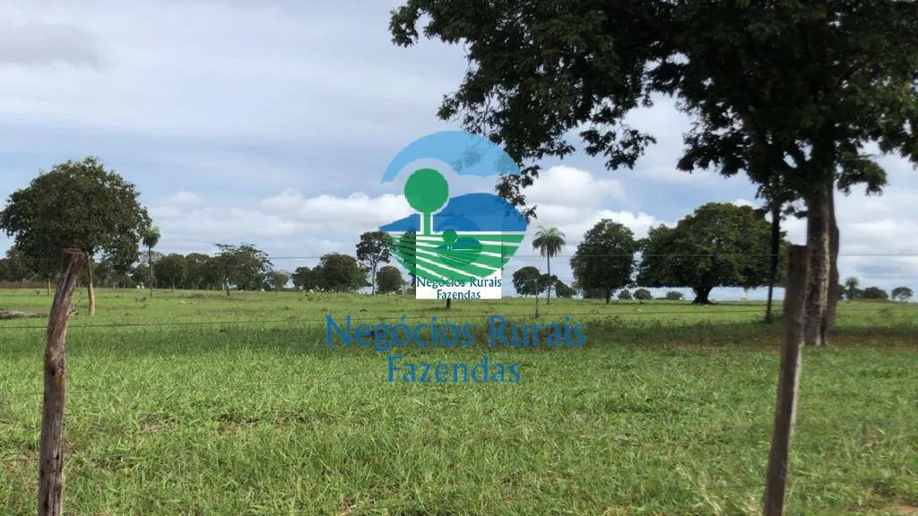 Farm for sale of 2,916 acres in Araguapaz, GO, Brazil