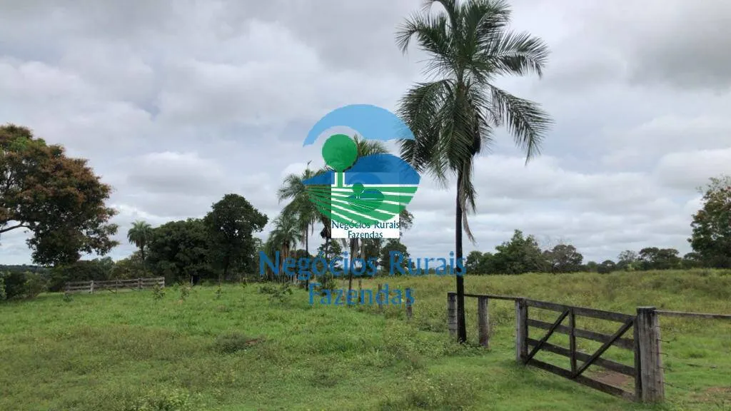Farm for sale of 2,916 acres in Araguapaz, GO, Brazil