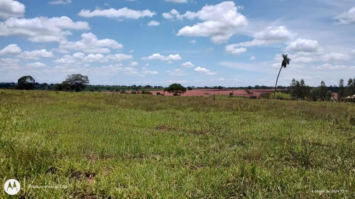 Fazenda à venda de 77 ha em Jales, SP, Brasil