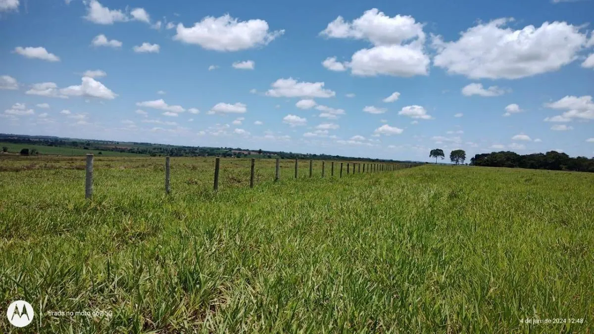 Fazenda à venda de 77 ha em Jales, SP, Brasil